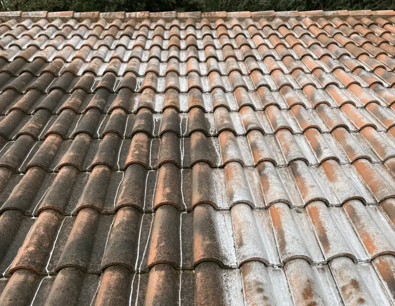 démoussage de couverture de toit Castelnau-Le-Lez
